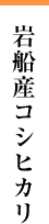 岩船産コシヒカリ