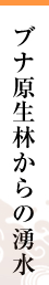 ブナ原生林・湧水