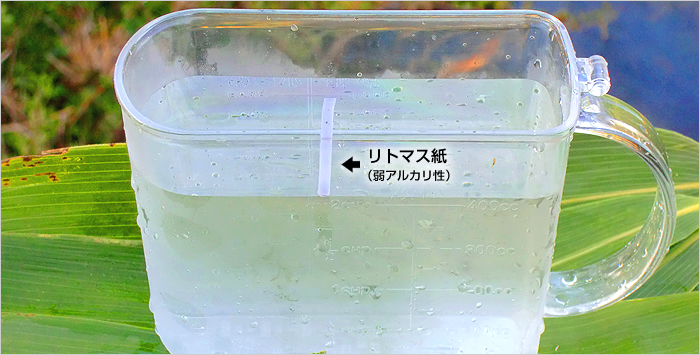 弱アルカリ性湧き水 水温14℃〜15℃