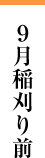 9月稲刈り前