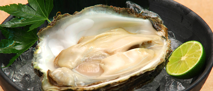 佐渡沖 南蛮海老